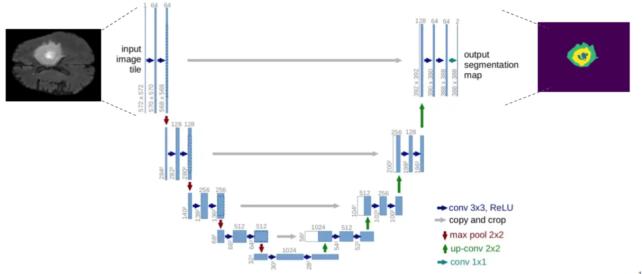 Interpolate start reference image.